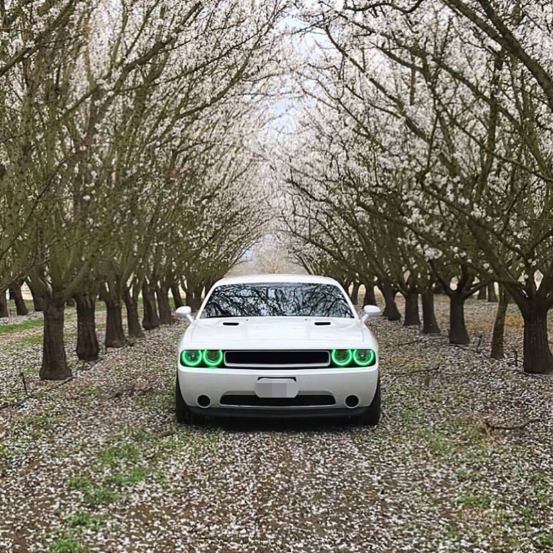 Oracle Dodge Challenger 08-14 Halo Kit (ProjectorHL) - ColorSHIFT