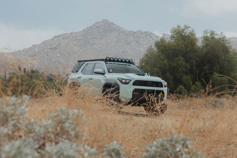 DV8 Offroad 25-26 Toyota 4Runner Exterior Window Molles (Use w/ PN dveRRTF3-02) - Passenger