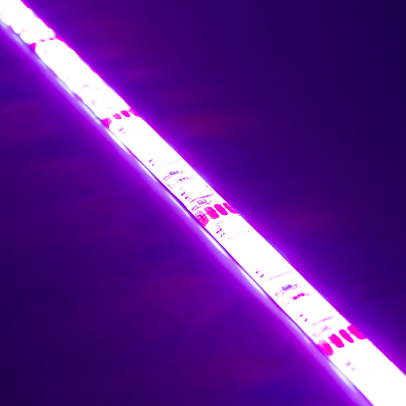 Oracle Engine Bay LED Kit 60in - UV/Purple