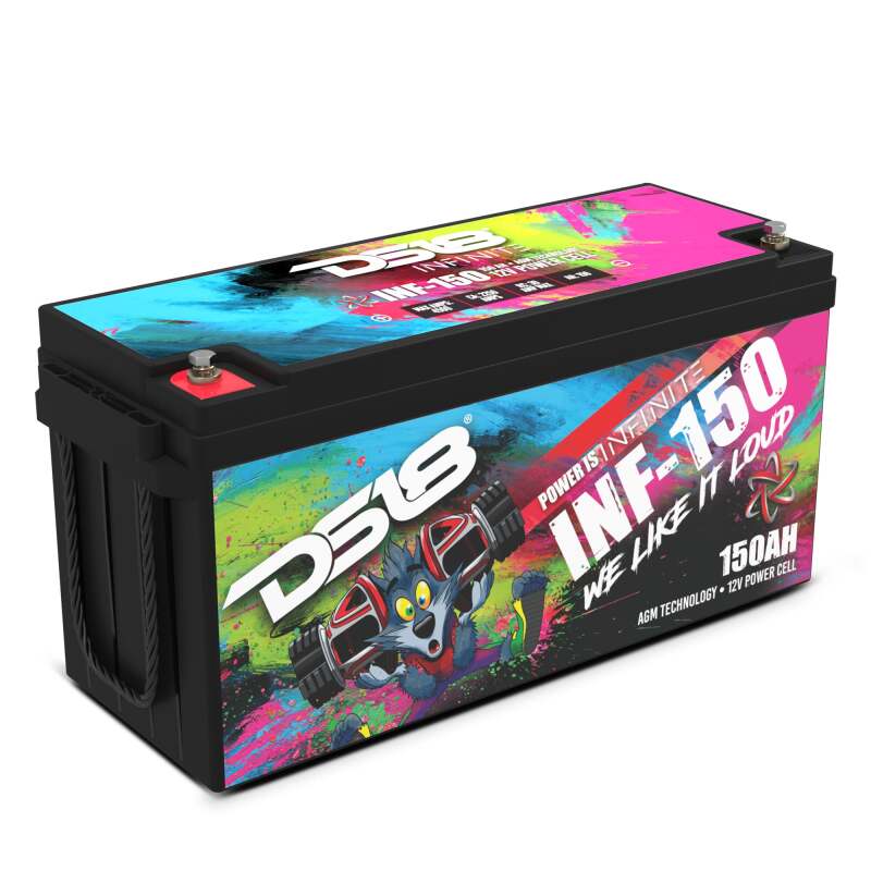 DS18 4000 Watts 150 AH Infinite AGM Power Cell Battery