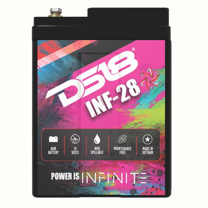 DS18 1000 Watts 28 AH Infinite AGM Power Cell Battery