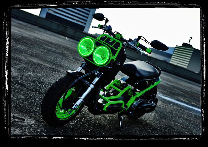 Oracle Honda Ruckus 01-15 LED Halo Kit - White