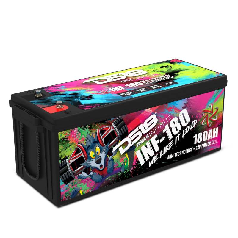 DS18 5000 Watts 180 AH Infinite AGM Power Cell Battery