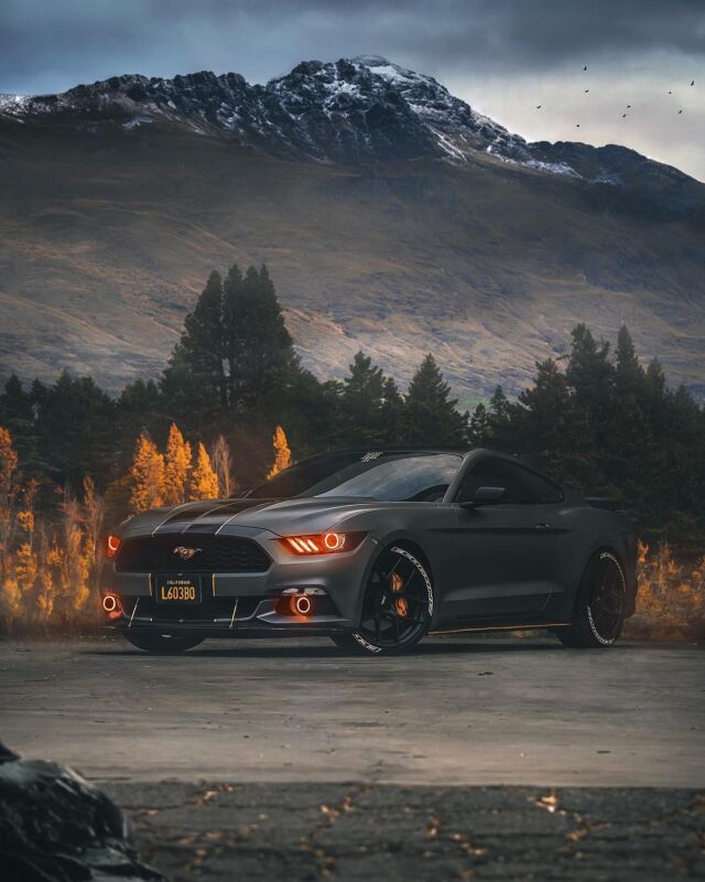 Oracle 15-17 Ford Mustang V6/GT/Shelby DRL w/ Halo Kit - ColorSHIFT w/ Simple Controller