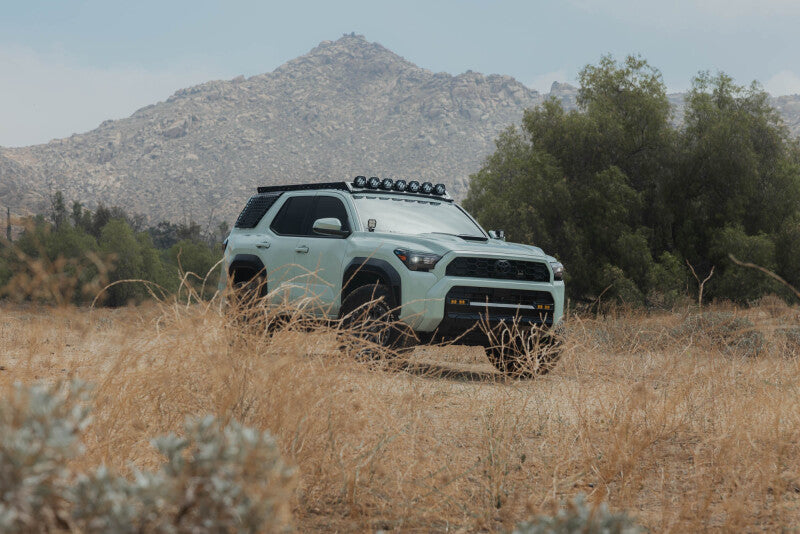 DV8 Offroad 25-26 Toyota 4Runner Exterior Window Molles (Use w/ PN dveRRTF3-02) - Driver & Passenger