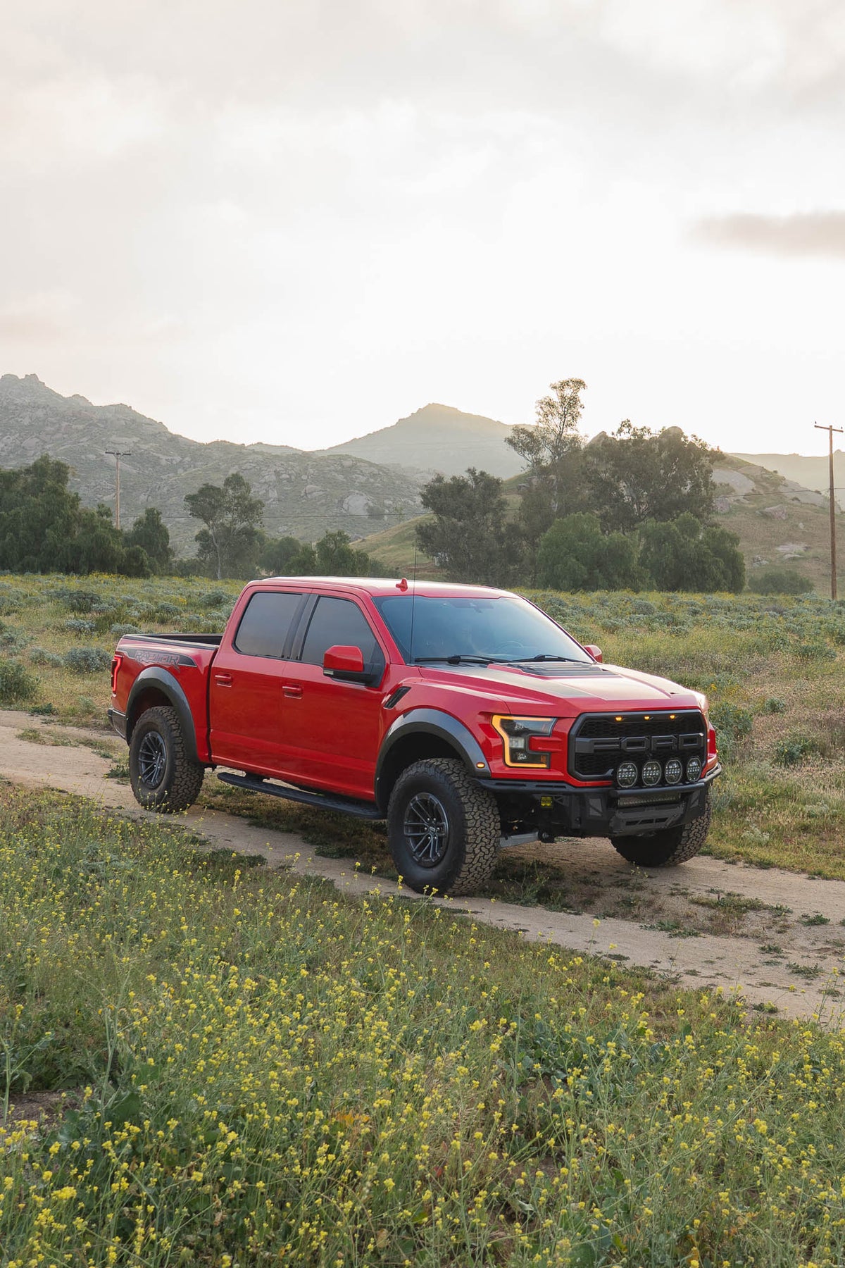 2017 2020 Ford F 150 Raptor Tube Front Bumper DV8 Offroad