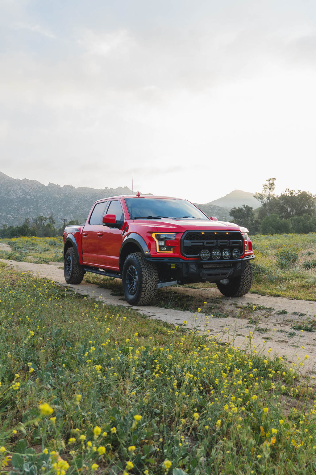 2017 2020 Ford F 150 Raptor Tube Front Bumper DV8 Offroad
