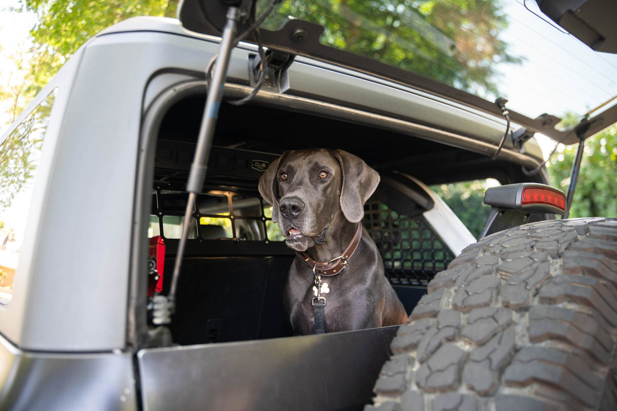 2021 2024 Ford Bronco Dog Barrier DV8 Offroad