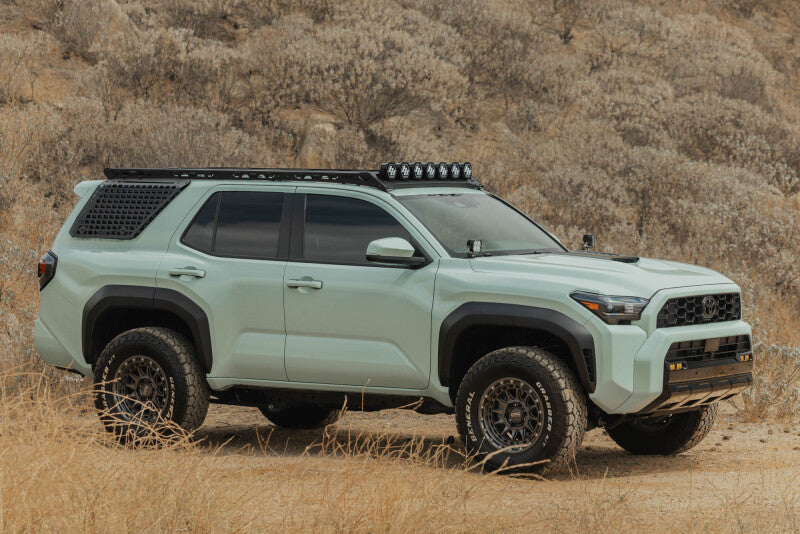DV8 Offroad 25-26 Toyota 4Runner Exterior Window Molles (Use w/ PN dveRRTF3-02) - Driver & Passenger