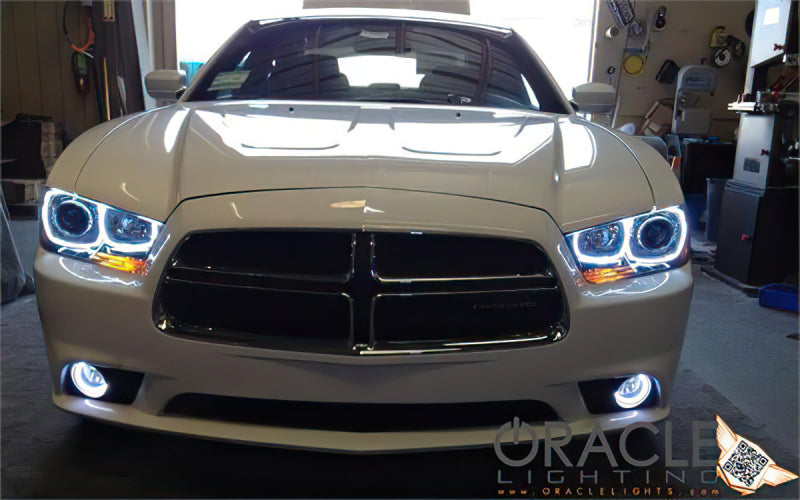 Oracle 11-12 Dodge Charger LED Fog Light Halo Kit - Red