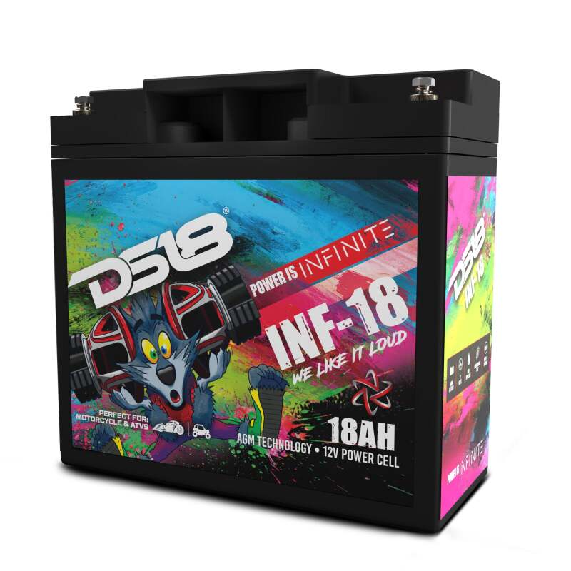 DS18 750 Watts 18 AH Infinite AGM Power Cell Battery