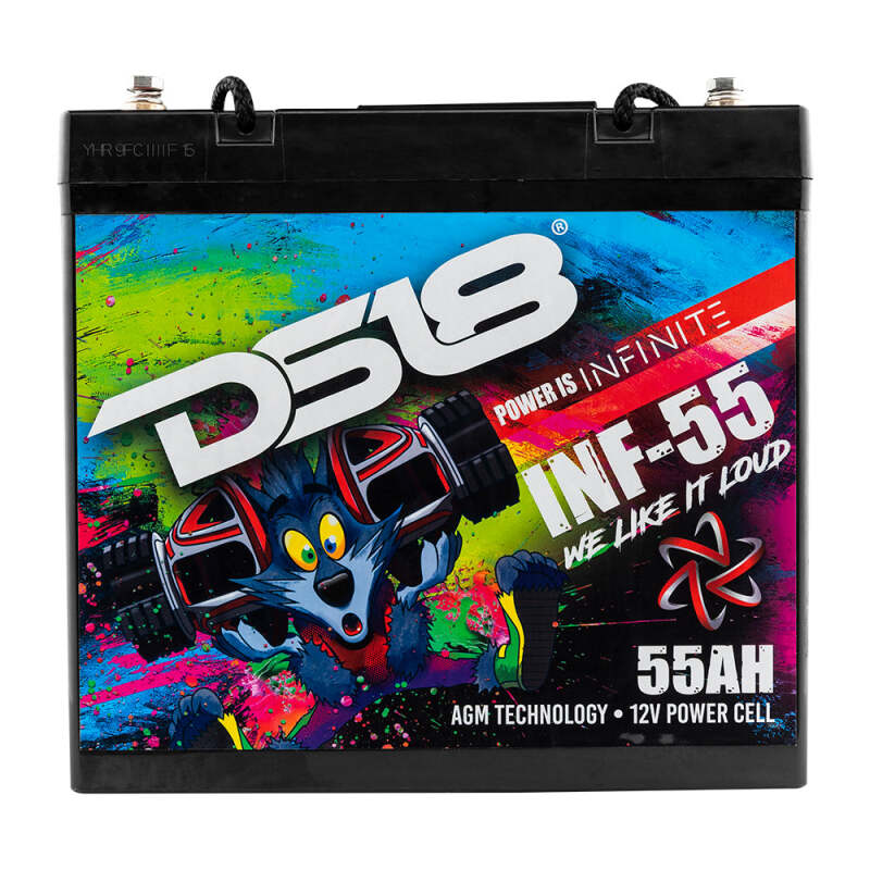 DS18 1750 Watts 55 AH Infinite AGM Power Cell Battery