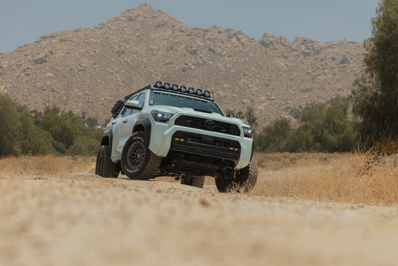 DV8 Offroad 25-26 Toyota 4Runner Exterior Window Molles (Use w/ PN dveRRTF3-02) - Driver & Passenger