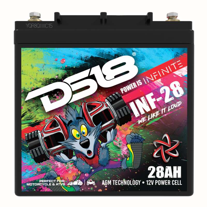 DS18 1000 Watts 28 AH Infinite AGM Power Cell Battery