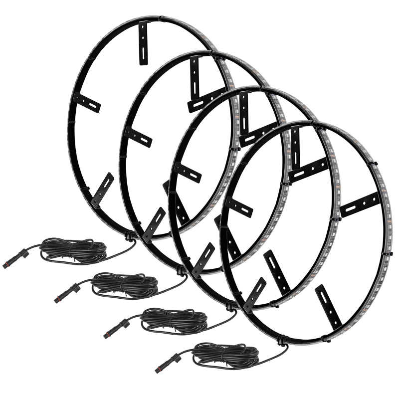Oracle LED Illuminated Wheel Rings - Aqua
